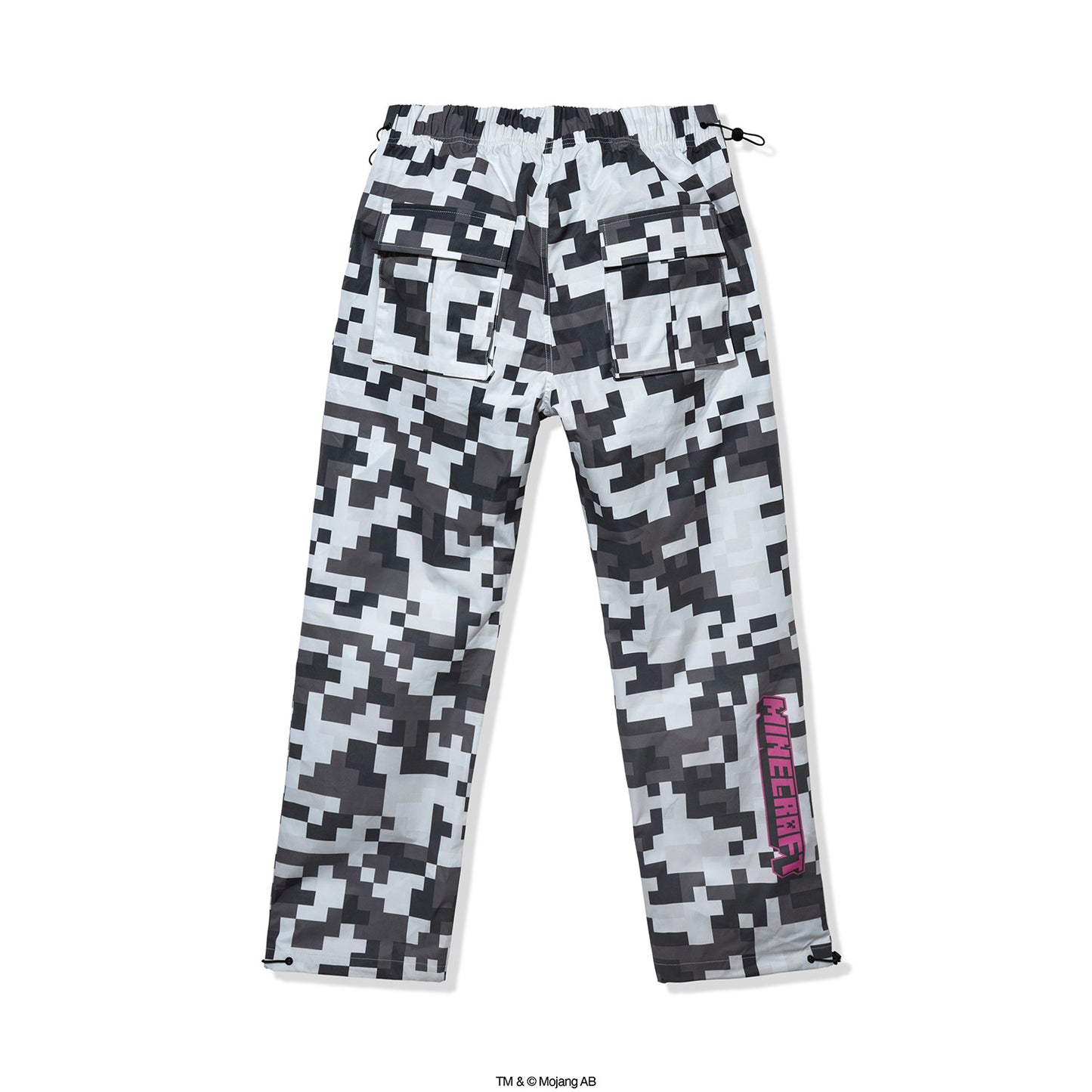 ASSC x Minecraft Pixel Camo Cargo Pant - Grey